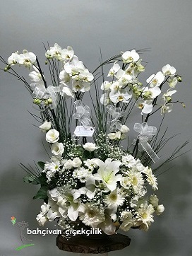 ihtişamlı orkide aranjmanı